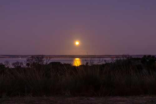 Full Moon Rising Over American River at Twilight, Kangaroo Island - Australian Stock Image