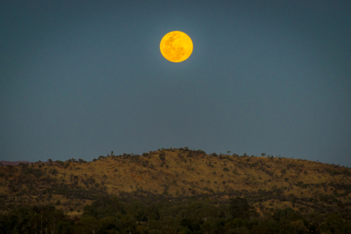 Full moon rising over rugged hilltop in twilight sky. - Australian Stock Image