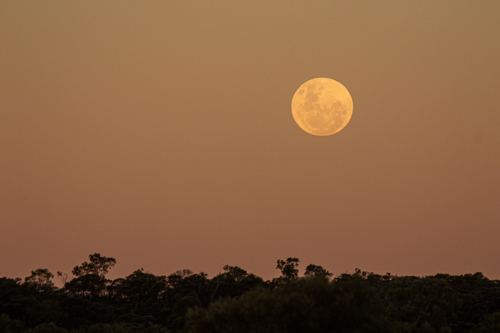 Full moon rising over the Grey Range - Australian Stock Image