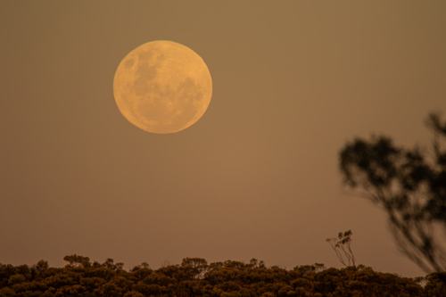 Full moon rising over the Grey Range - Australian Stock Image