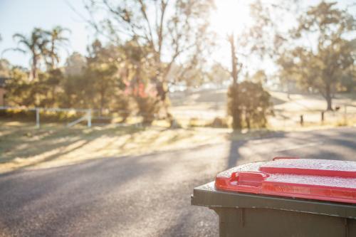 Garbage bin on the roadside early in the morning - Australian Stock Image