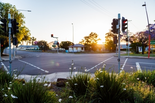 Garden and traffic lights at intersection at sundown - Australian Stock Image