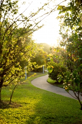 Garden path in the afternoon - Australian Stock Image