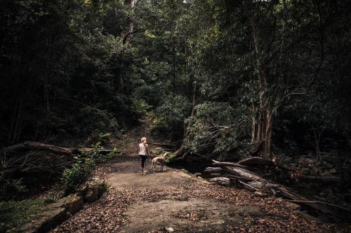 Girl and the dog at the creek - Australian Stock Image