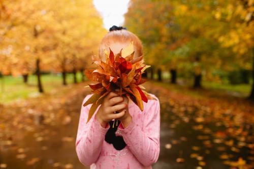 Girl holding autumn leaves up to her face - Australian Stock Image