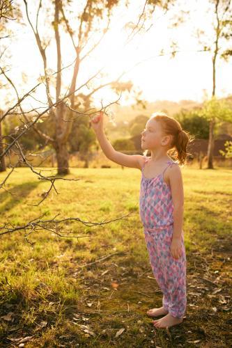Girl in a field looking up at flowers - Australian Stock Image