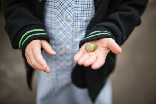 Girl in school uniform holds acorn