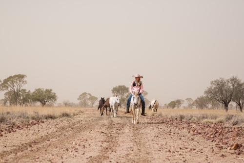 Girl rider and horses in dust storm