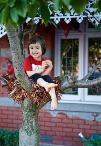 Girl sitting in a tree in the front garden of a terrace house - Australian Stock Image