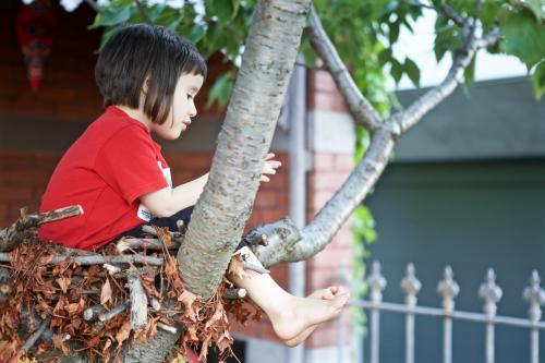 Girl sitting in a tree in the front garden of a terrace house - Australian Stock Image
