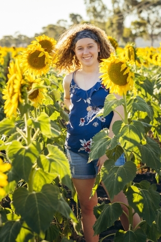 Girl standing in sunflower field - Australian Stock Image