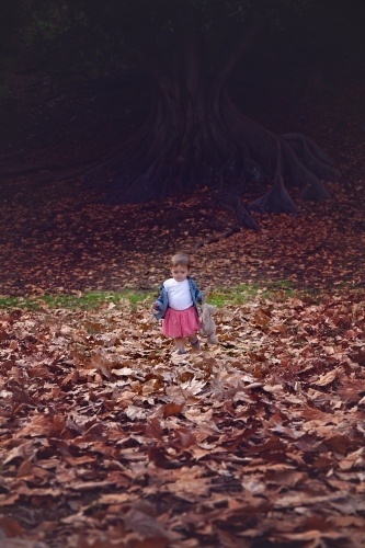 Girl With Toy Rabbit Walking in Autumn Leaves - Australian Stock Image