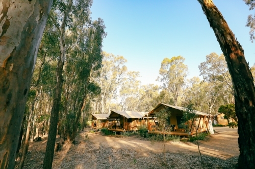 Glamping tents set up on the Gunbower Creek at Koondrook Victoria Australia - Australian Stock Image