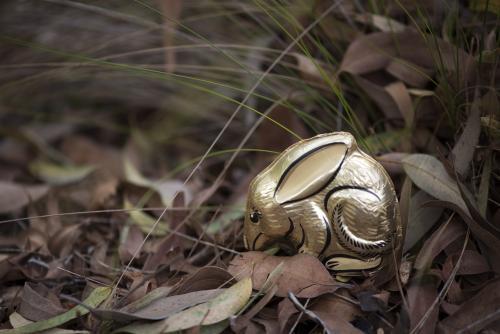 Gold easter chocolate bilby in native bush - Australian Stock Image