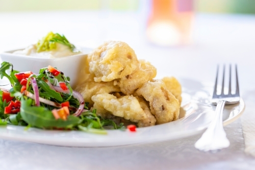 Golden-brown battered and fried meat with fresh salad and dip on the side. - Australian Stock Image