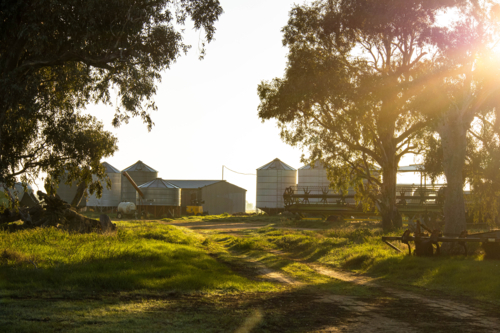 golden farm shed at sunrise - Australian Stock Image