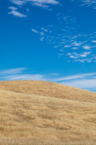 golden hills against blue sky - Australian Stock Image
