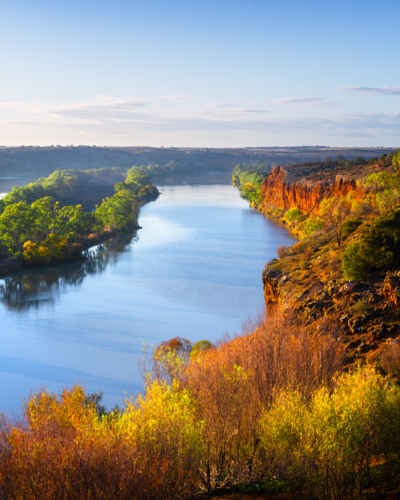 Golden morning light illuminates the red cliffs and calm waters of the Murray River - Australian Stock Image