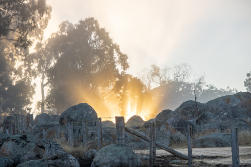 Golden rays of dawn on a misty morning - Australian Stock Image