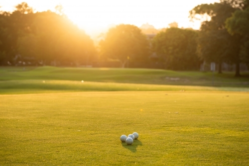 Golf balls on the green at sunset