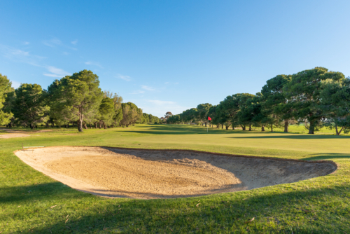 Golf course green and bunkers on a sunny day, surrounded by trees and blue sky - Australian Stock Image
