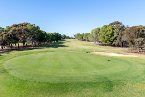Golf course green and bunkers on a sunny day, surrounded by trees and blue sky - Australian Stock Image