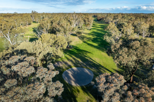 Golf green surrounded by gum trees and shadows in late afternoon light - Australian Stock Image
