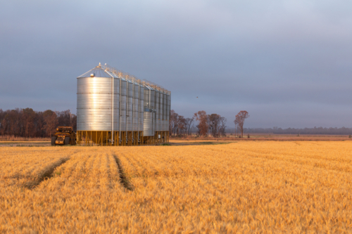 Grain silos in wheat field - Australian Stock Image