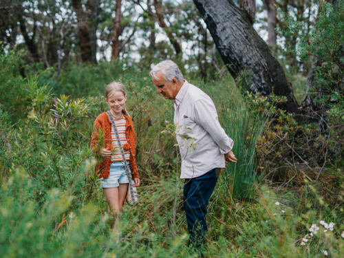 Grandfather exploring Australian Bushland with granddaughter standing amongst plants - Australian Stock Image