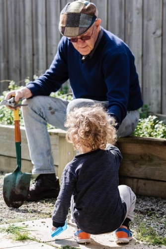 Grandfather "Pop" and grandchild weeding and working in the backyard vegetable garden on a sunny day