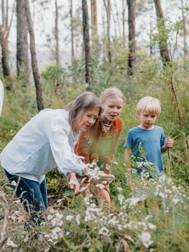 Grandmother enjoying Australian Bushland with her Grandchildren - Australian Stock Image