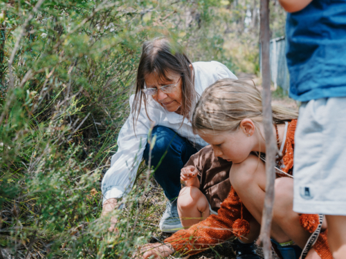 Grandmother enjoying Australian Bushland with her Grandchildren - Australian Stock Image