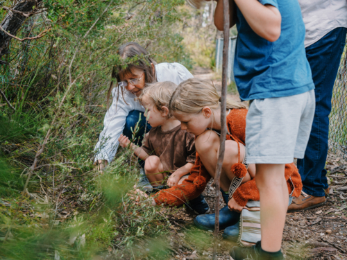 Grandmother enjoying Australian Bushland with her Grandchildren - Australian Stock Image