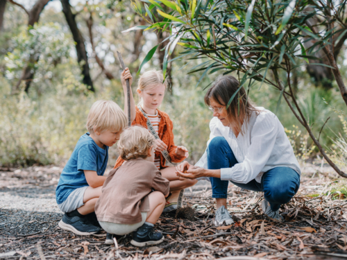 Grandmother enjoying Australian Bushland with her Grandchildren picking up a cicada bug - Australian Stock Image