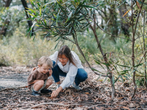 Grandmother spending time with grandson in nature looking through leaf litter for bugs - Australian Stock Image