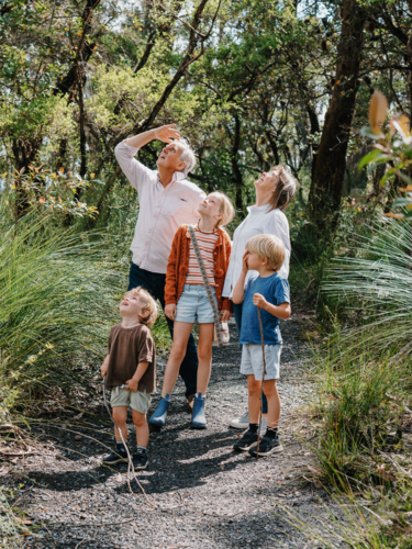 Grandparents enjoying Australian Bushland with their Grandchildren looking up at trees - Australian Stock Image