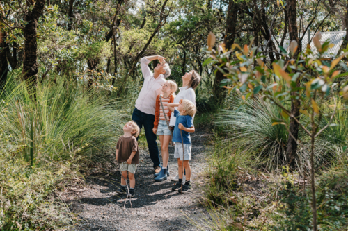 Grandparents enjoying Australian Bushland with their Grandchildren looking upwards together - Australian Stock Image