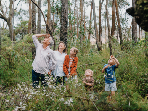 Grandparents enjoying Australian Bushland with their Grandchildren playing with sticks - Australian Stock Image