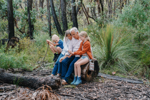 Grandparents enjoying Australian Bushland with their Grandchildren sitting on a log - Australian Stock Image