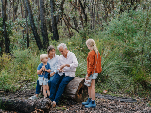 Grandparents enjoying Australian Bushland with their Grandchildren sitting on a log - Australian Stock Image