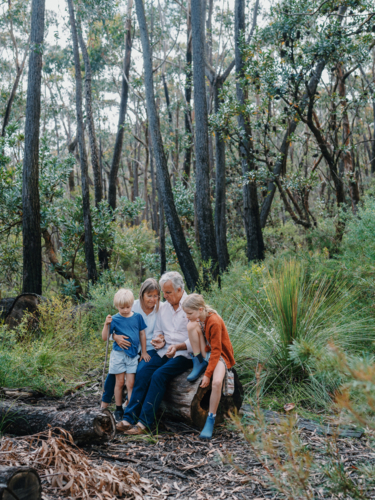 Grandparents enjoying Australian Bushland with their Grandchildren sitting on a log - Australian Stock Image