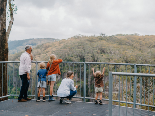 Grandparents enjoying Australian Bushland with their Grandchildren standing at lookout - Australian Stock Image