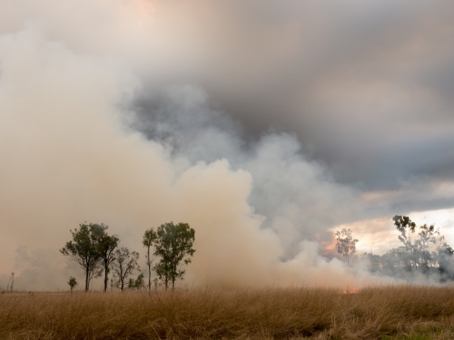 Grass fire with billowing layers of smoke