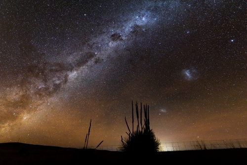 grass tree silhouette against Milky Way - Australian Stock Image