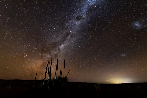 grass tree silhouette against Milky Way - Australian Stock Image