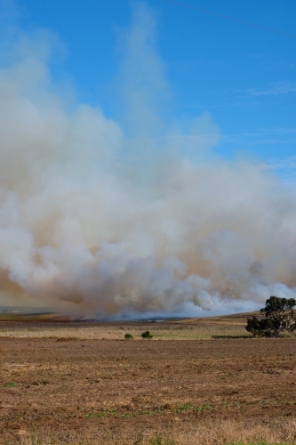 Grassfire burning on farmland