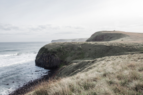 Grassy cliffs and ocean with grasses on Mornington Peninsula - Australian Stock Image