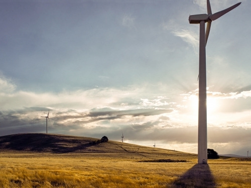 Grassy paddock with wind turbines in foreground and background - Australian Stock Image