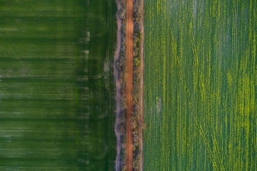 Gravel road between two cropped paddocks on a farm. - Australian Stock Image