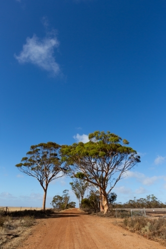 Gravel road in rural Western Australia - Australian Stock Image